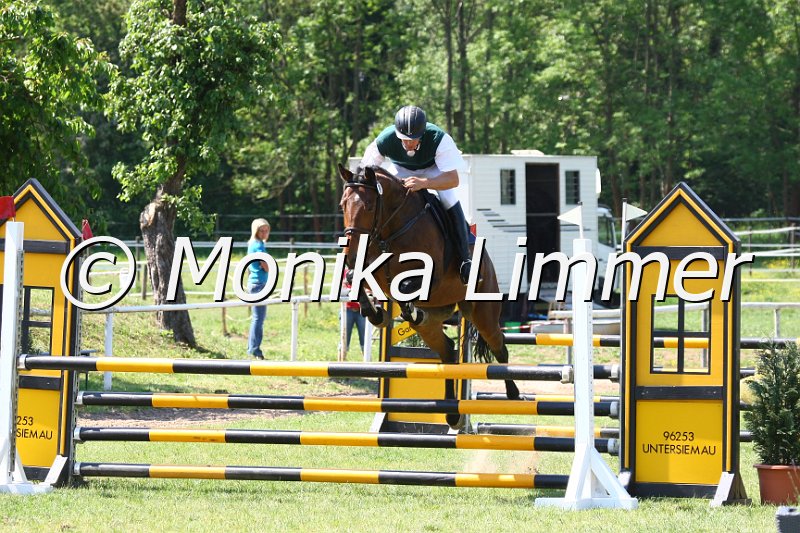 105M9956_Araquita T_Spingpf_A.JPG